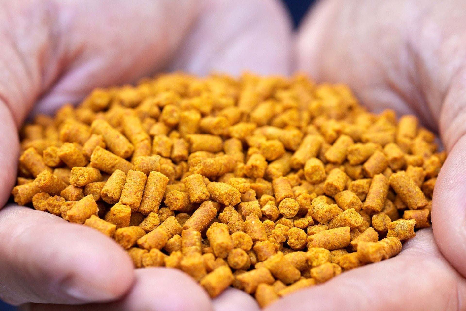 Scotts Turf Builder Unkraut und Futtermittel, 1000-sq-ft